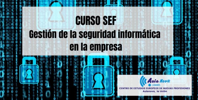 Curso SEF.- gestión de la seguridad informática en la empresa