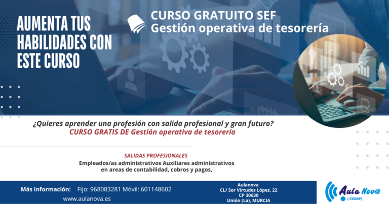 CURSO SEF Gestión operativa de tesorería