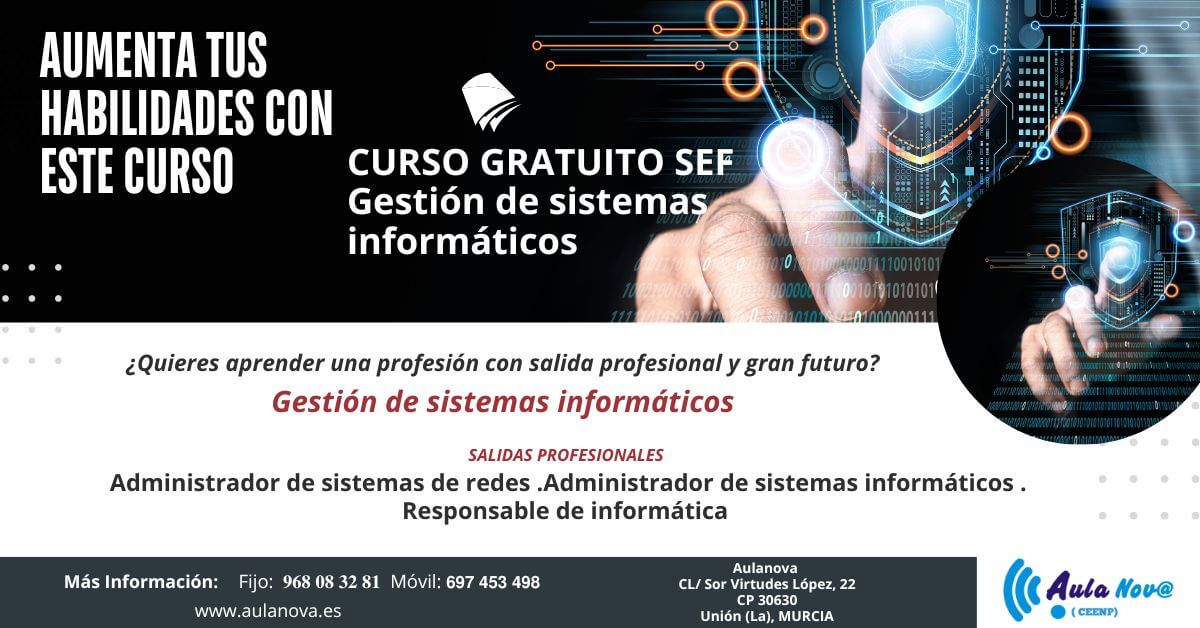 sistemas informaticos