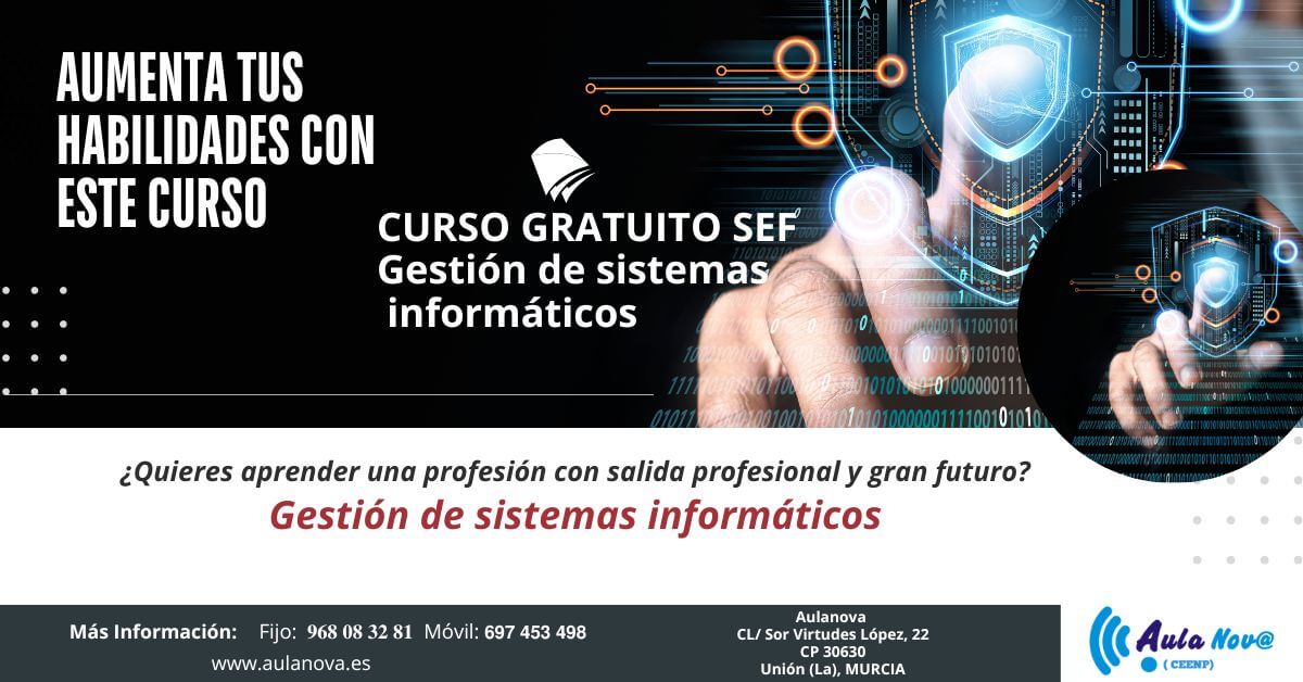 sistemas informaticos