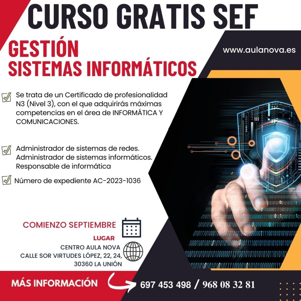 sistemas informaticos gestion